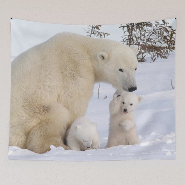 Item preview, Mother polar bear & her two cubs designed and sold by Marion Joncheres.