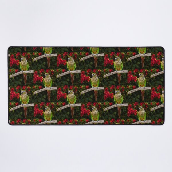 Item preview, Maroon-Bellied Conure Among Crimson Blossoms designed and sold by Kimberly Palmer.