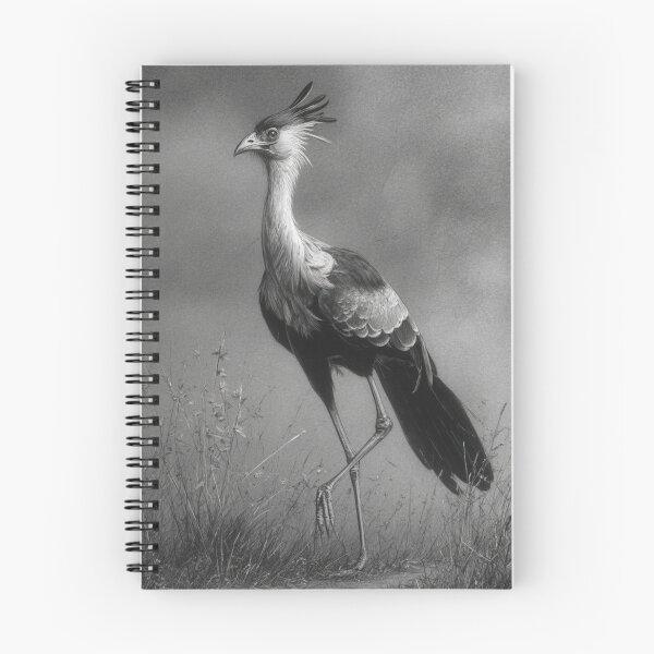 Item preview, A Secretary Bird striding across African grasslands, Birds in Motion designed and sold by CDC40.