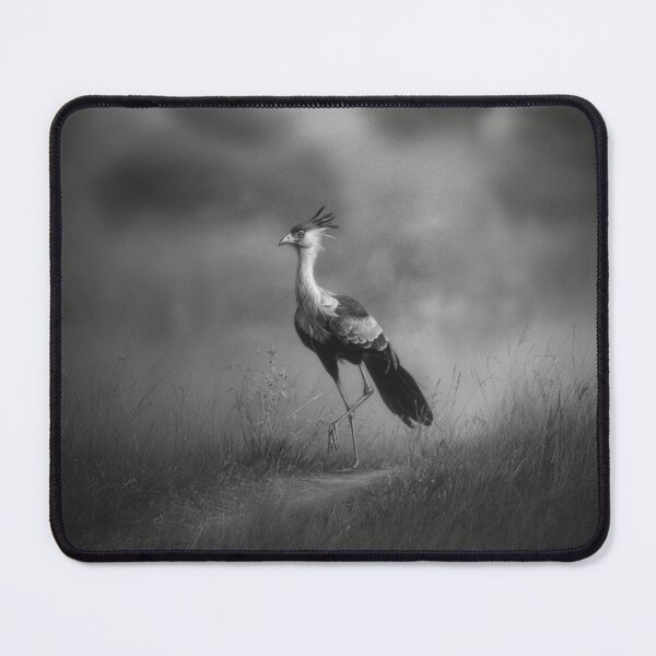 Item preview, A Secretary Bird striding across African grasslands, Birds in Motion designed and sold by CDC40.