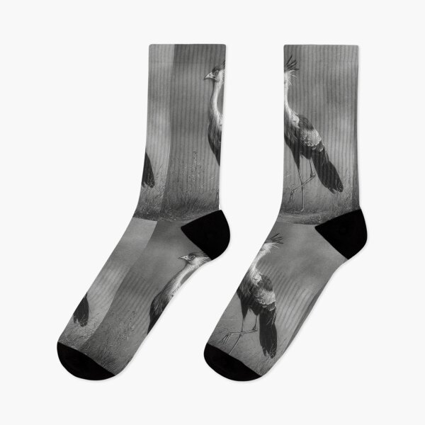 Item preview, A Secretary Bird striding across African grasslands, Birds in Motion designed and sold by CDC40.
