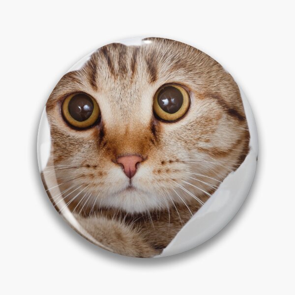 Item preview, Cute Cat Peeking Through Torn Paper | Funny Cat Lover Design designed and sold by Harrietcozz.