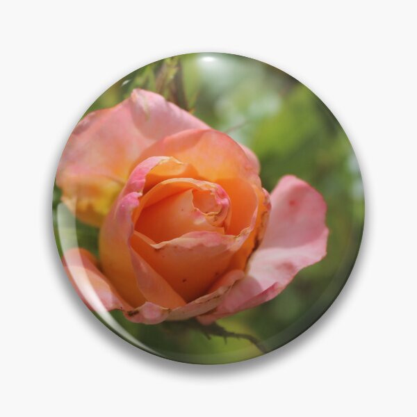 Item preview, Blushing pink rose - Romantic botanical photography designed and sold by Cha-s-lens.