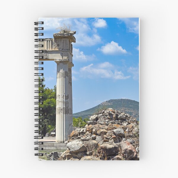 Item preview, The ancient ruins of the gymnasion at the sacred city, sanctuary and healing center of Epidaurus,Peloponnese,Greece, summertime designed and sold by goceris.