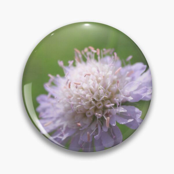 Item preview, Dreamy purple field scabious - Wildflower photography designed and sold by Cha-s-lens.