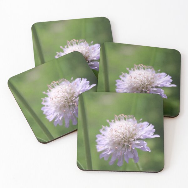 Item preview, Dreamy purple field scabious - Wildflower photography designed and sold by Cha-s-lens.