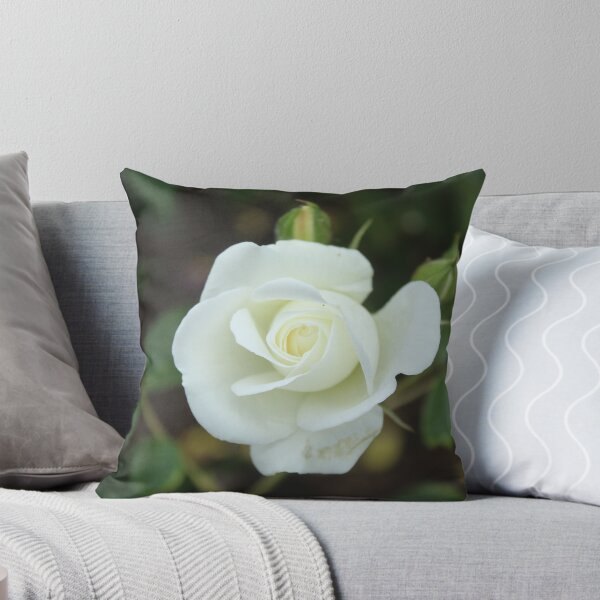 Aperçu de l'œuvre Élégance d'une rose blanche en pleine floraison - Photographie botanique de fleurs créée et vendue par Cha-s-lens.
