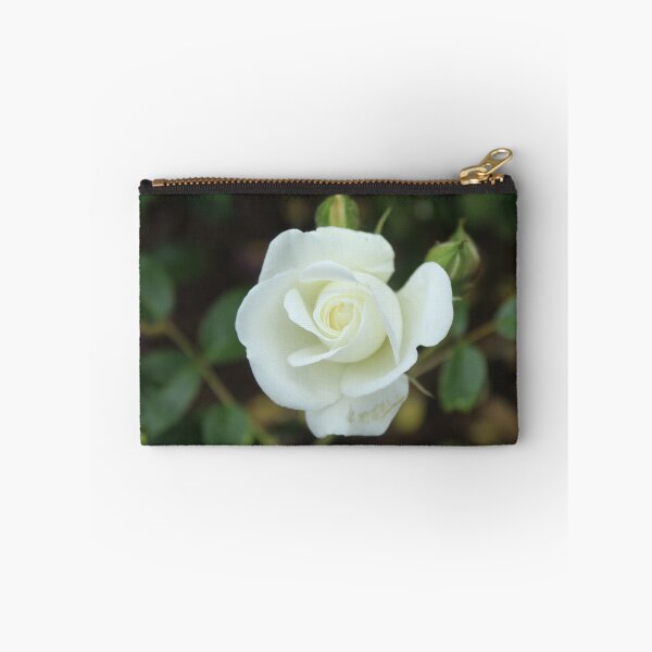 Item preview, Elegant white rose bloom - Botanical flower photography designed and sold by Cha-s-lens.