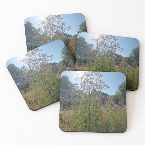 Item preview, Tall Wild Thistle Plants in Summer Meadow Under Bright Blue Sky designed and sold by PhuongVoArt.