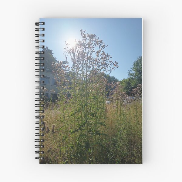 Item preview, Tall Wild Thistle Plants in Summer Meadow Under Bright Blue Sky designed and sold by PhuongVoArt.