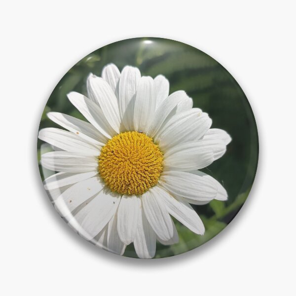 Item preview, White Daisy Flower Blooming in Summer Garden Close-Up designed and sold by PhuongVoArt.
