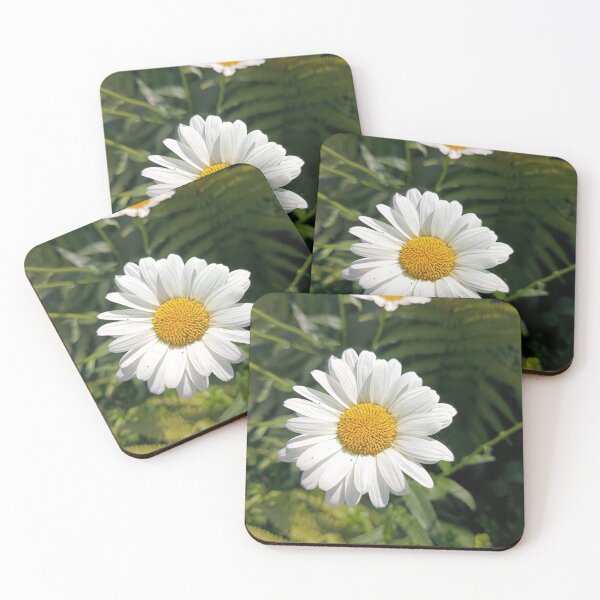 Item preview, White Daisy Flower Blooming in Summer Garden Close-Up designed and sold by PhuongVoArt.