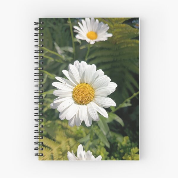 Item preview, White Daisy Flower Blooming in Summer Garden Close-Up designed and sold by PhuongVoArt.