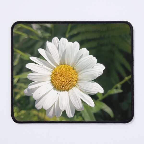 Item preview, White Daisy Flower Blooming in Summer Garden Close-Up designed and sold by PhuongVoArt.