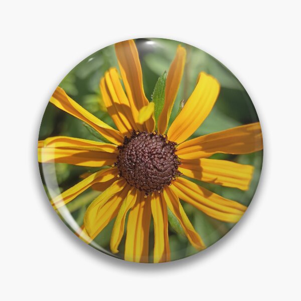 Artikelvorschau, Golden Black-Eyed Susan Flower Close-Up in Bright Summer Sunlight entworfen und verkauft von PhuongVoArt.