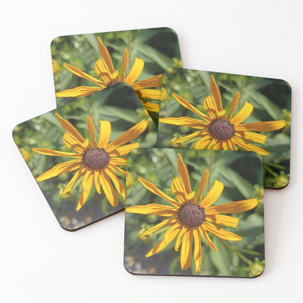 Item preview, Golden Black-Eyed Susan Flower Close-Up in Bright Summer Sunlight designed and sold by PhuongVoArt.