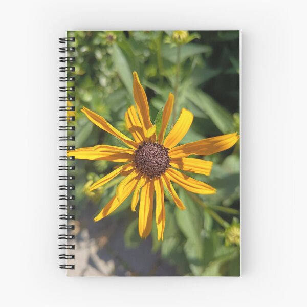 Item preview, Golden Black-Eyed Susan Flower Close-Up in Bright Summer Sunlight designed and sold by PhuongVoArt.