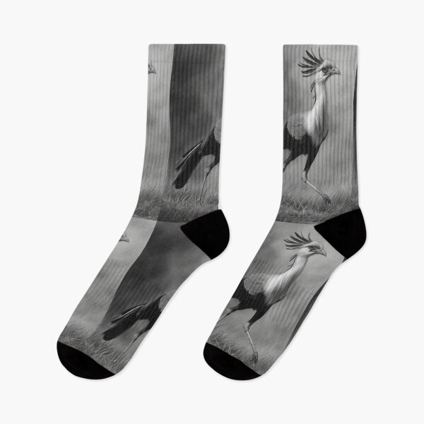 Item preview, A Secretary Bird striding across African grasslands, Birds in Motion designed and sold by CDC40.