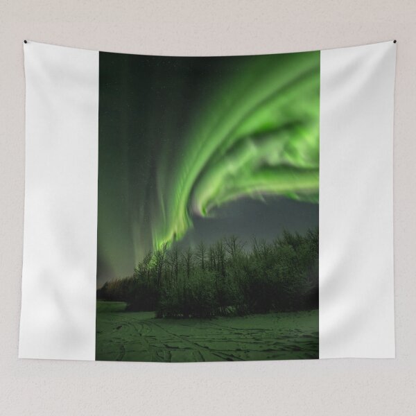 Artikelvorschau, Aurora Borealis ~ Seahawk im Flug entworfen und verkauft von akaurora.