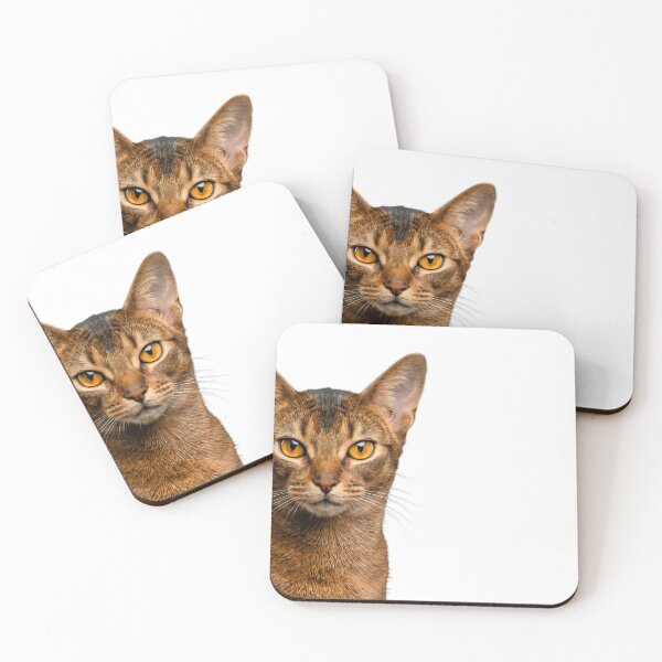 Item preview, Abyssinian Cat designed and sold by VetalStock.