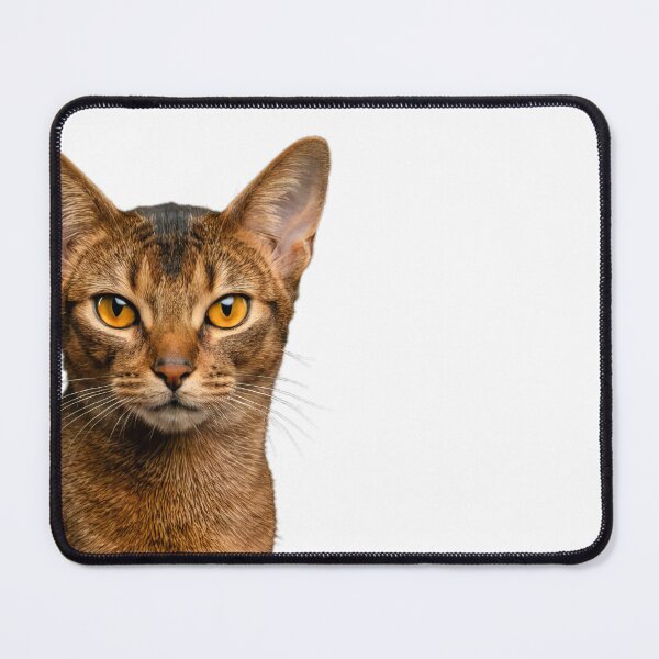 Item preview, Abyssinian Cat designed and sold by VetalStock.
