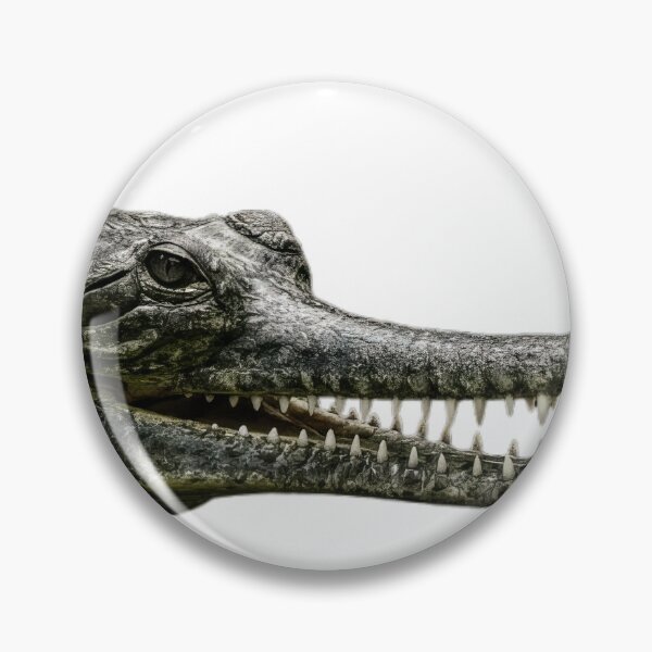 Item preview, crocodile head with sharp teeth designed and sold by VetalStock.