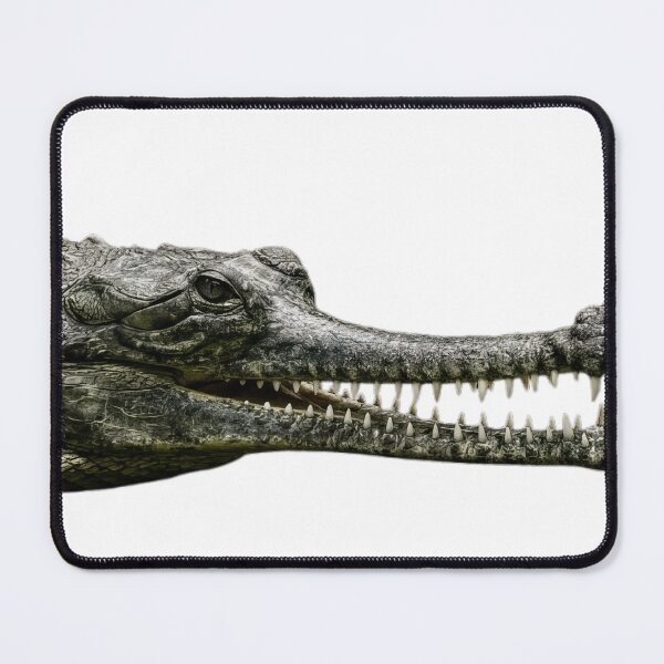 Item preview, crocodile head with sharp teeth designed and sold by VetalStock.