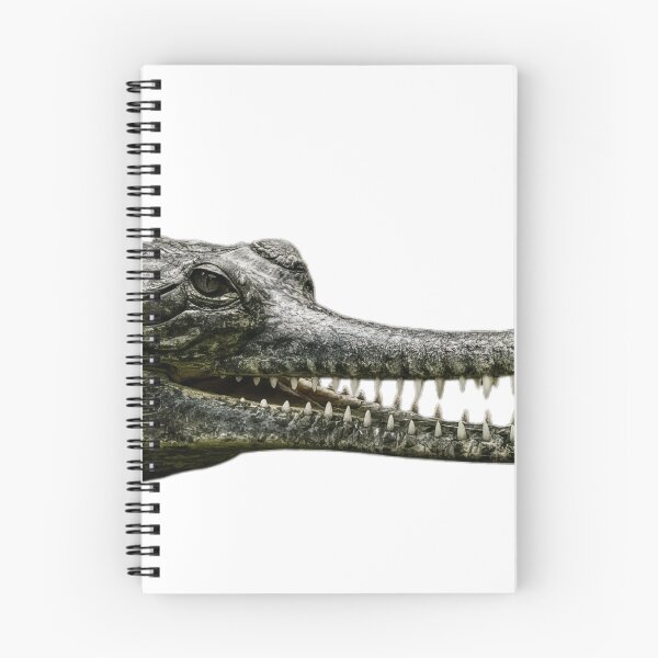 Item preview, crocodile head with sharp teeth designed and sold by VetalStock.