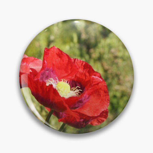 Item preview, Red Poppies designed and sold by Anne Kingston.