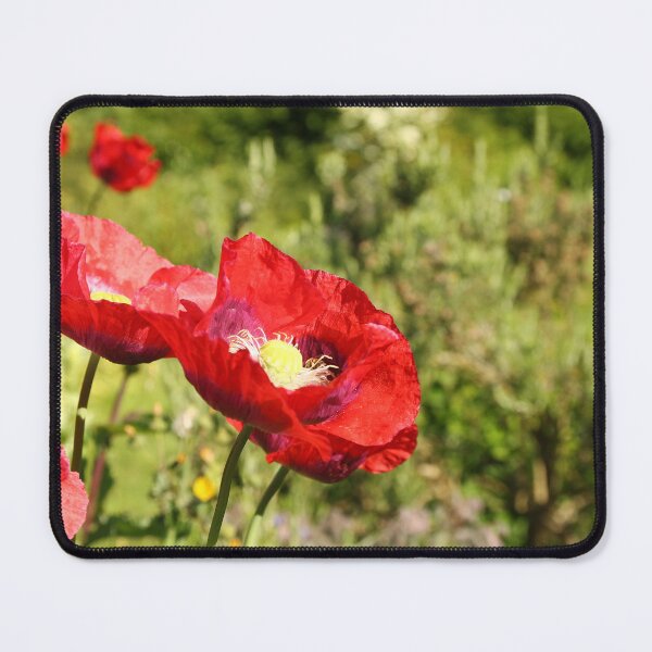 Item preview, Red Poppies designed and sold by Anne Kingston.