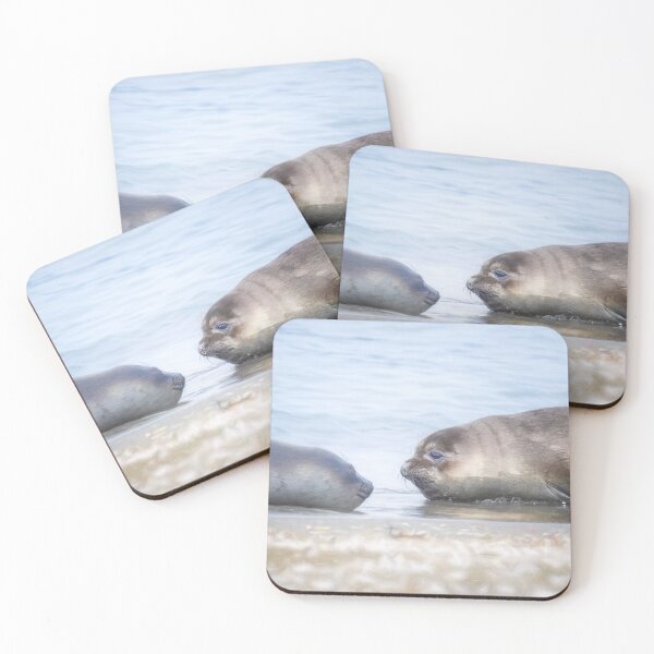 Item preview, Two Elephant Seals South Georgia Island designed and sold by PhotoArt by Joan Carroll.