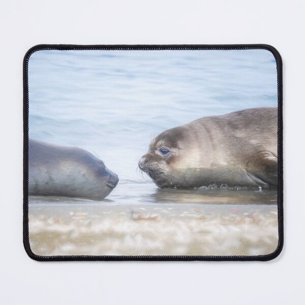 Item preview, Two Elephant Seals South Georgia Island designed and sold by PhotoArt by Joan Carroll.