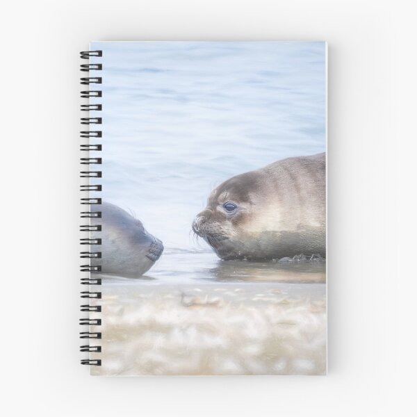 Item preview, Two Elephant Seals South Georgia Island designed and sold by PhotoArt by Joan Carroll.