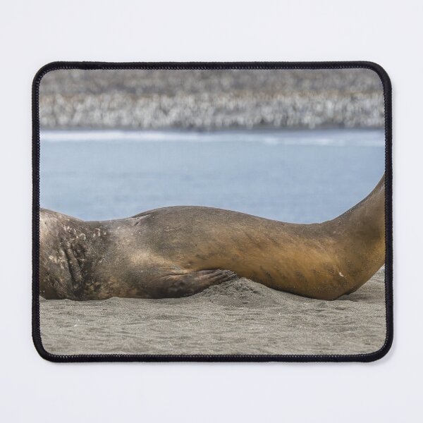 Item preview, Elephant Seal on the Beach designed and sold by PhotoArt by Joan Carroll.