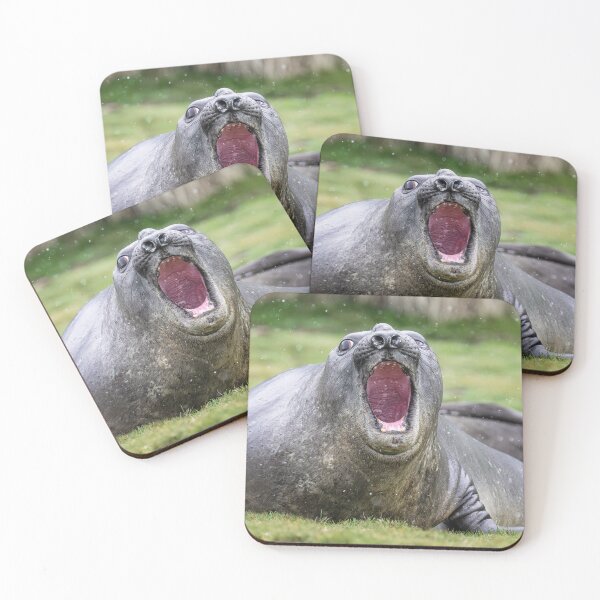 Item preview, Elephant Seal Warning South Georgia Island designed and sold by PhotoArt by Joan Carroll.