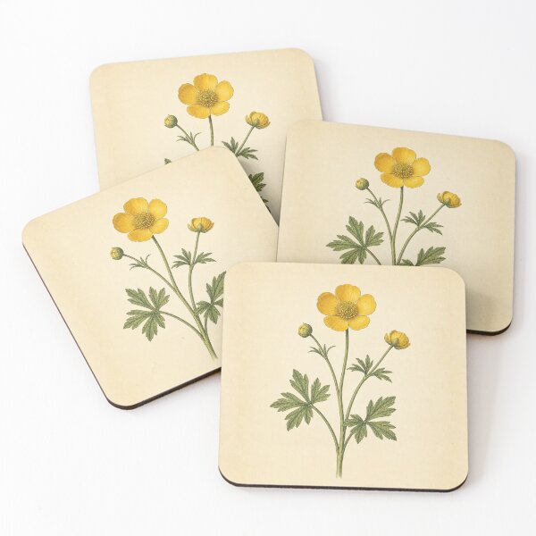 Item preview, Vintage Buttercup Botanical Print designed and sold by NuvoraNest.