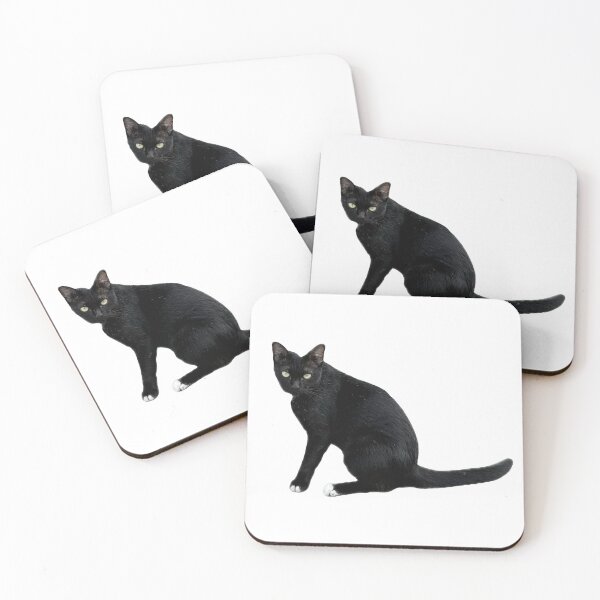 Item preview, beautiful sleek black cat sitting and looking at the camera, isolated on a clean white background, perfect for pet-related designs and projects. designed and sold by pipikijung.