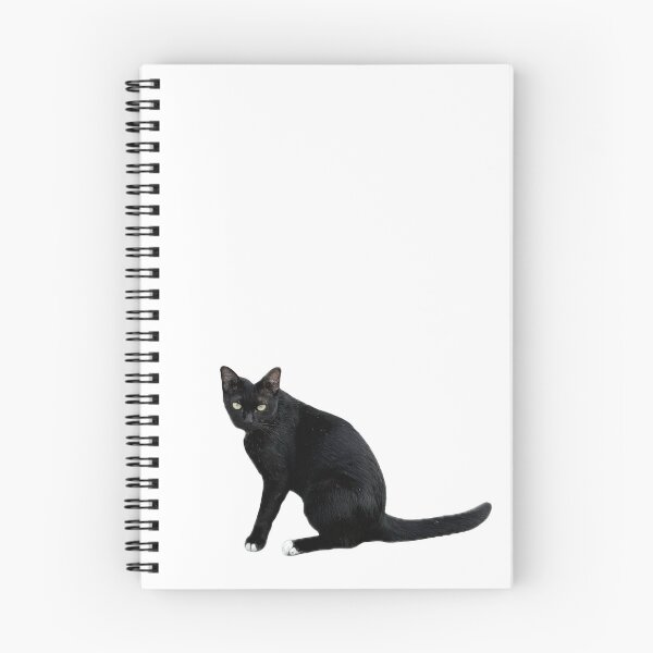 Item preview, beautiful sleek black cat sitting and looking at the camera, isolated on a clean white background, perfect for pet-related designs and projects. designed and sold by pipikijung.