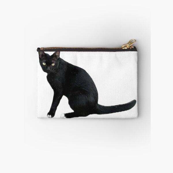 Item preview, beautiful sleek black cat sitting and looking at the camera, isolated on a clean white background, perfect for pet-related designs and projects. designed and sold by pipikijung.