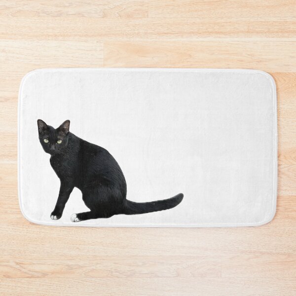 Item preview, beautiful sleek black cat sitting and looking at the camera, isolated on a clean white background, perfect for pet-related designs and projects. designed and sold by pipikijung.