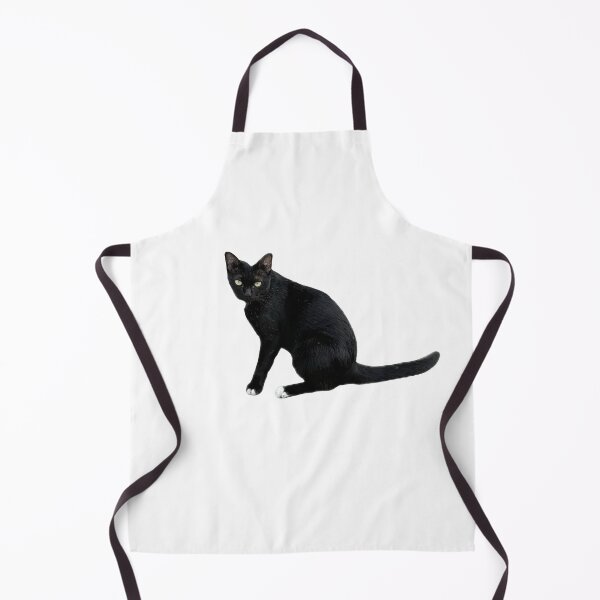 Item preview, beautiful sleek black cat sitting and looking at the camera, isolated on a clean white background, perfect for pet-related designs and projects. designed and sold by pipikijung.