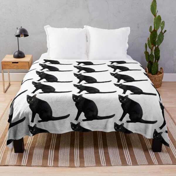 Item preview, beautiful sleek black cat sitting and looking at the camera, isolated on a clean white background, perfect for pet-related designs and projects. designed and sold by pipikijung.