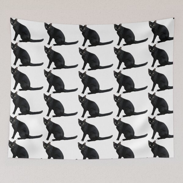 Item preview, beautiful sleek black cat sitting and looking at the camera, isolated on a clean white background, perfect for pet-related designs and projects. designed and sold by pipikijung.