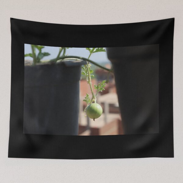Item preview, Watermelon Fruits Hanging in Nature designed and sold by diaaphotography.