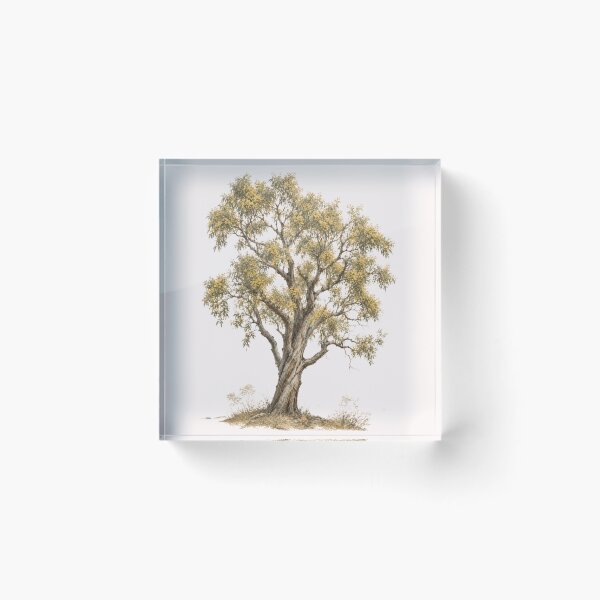 Item preview,  Australian acacia old tree.  designed and sold by NewtBoo.