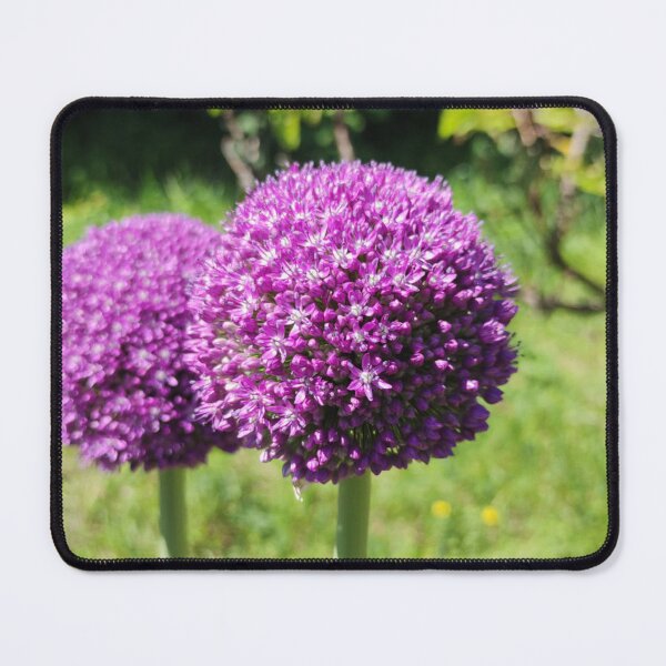 Item preview, Vibrant Purple Allium Pompon Flowers designed and sold by londonartworks.