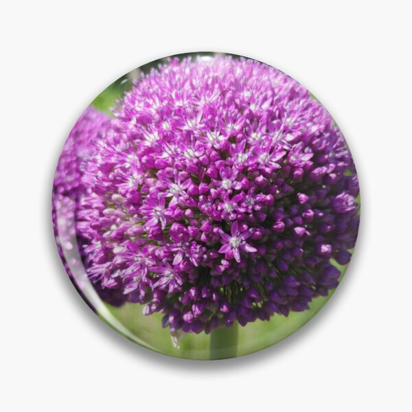 Item preview, Vibrant Purple Allium Pompon Flowers designed and sold by londonartworks.
