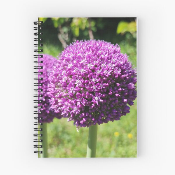 Item preview, Vibrant Purple Allium Pompon Flowers designed and sold by londonartworks.