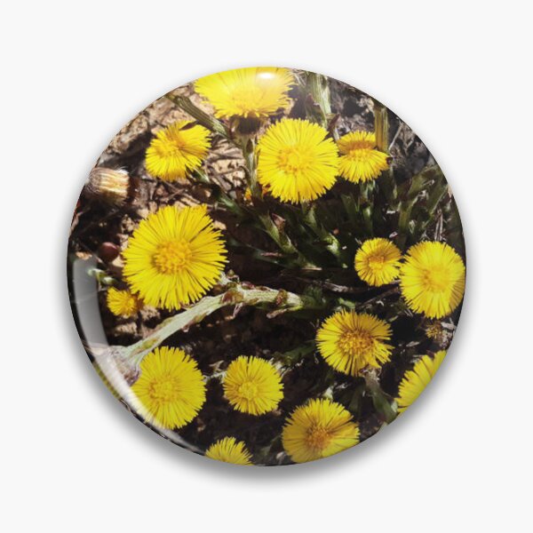 Item preview, Yellow Coltsfoot Flowers in Nature designed and sold by londonartworks.