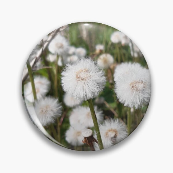 Item preview, Fluffy Seed Heads of Coltsfoot designed and sold by londonartworks.